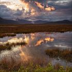 [ _golden summer // Höfn ]