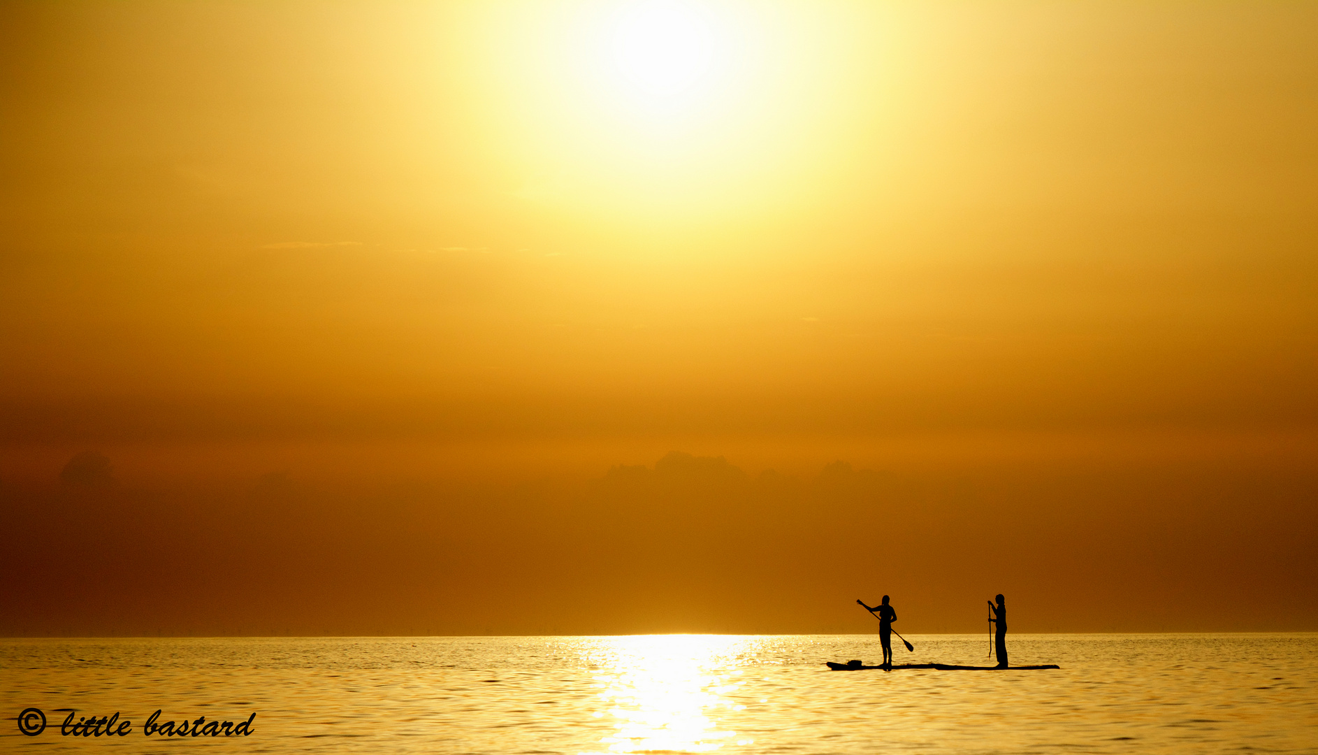 golden summer  ( Sylt 8/18 )