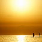 golden summer  ( Sylt 8/18 )