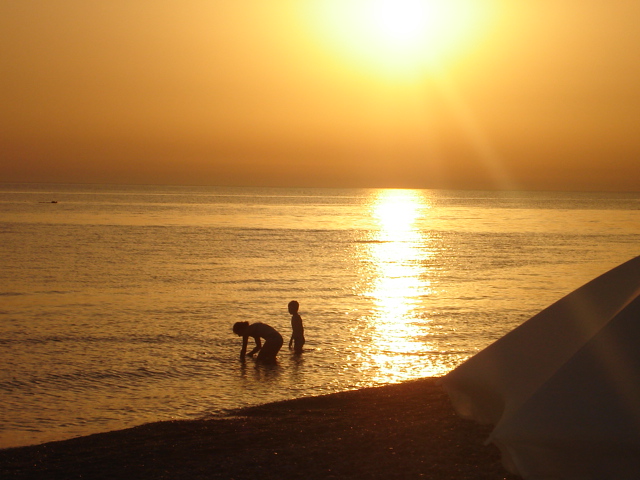 golden summerafternoon