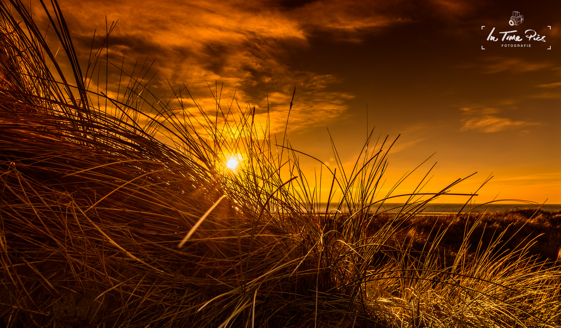 Golden Sun at the Beach