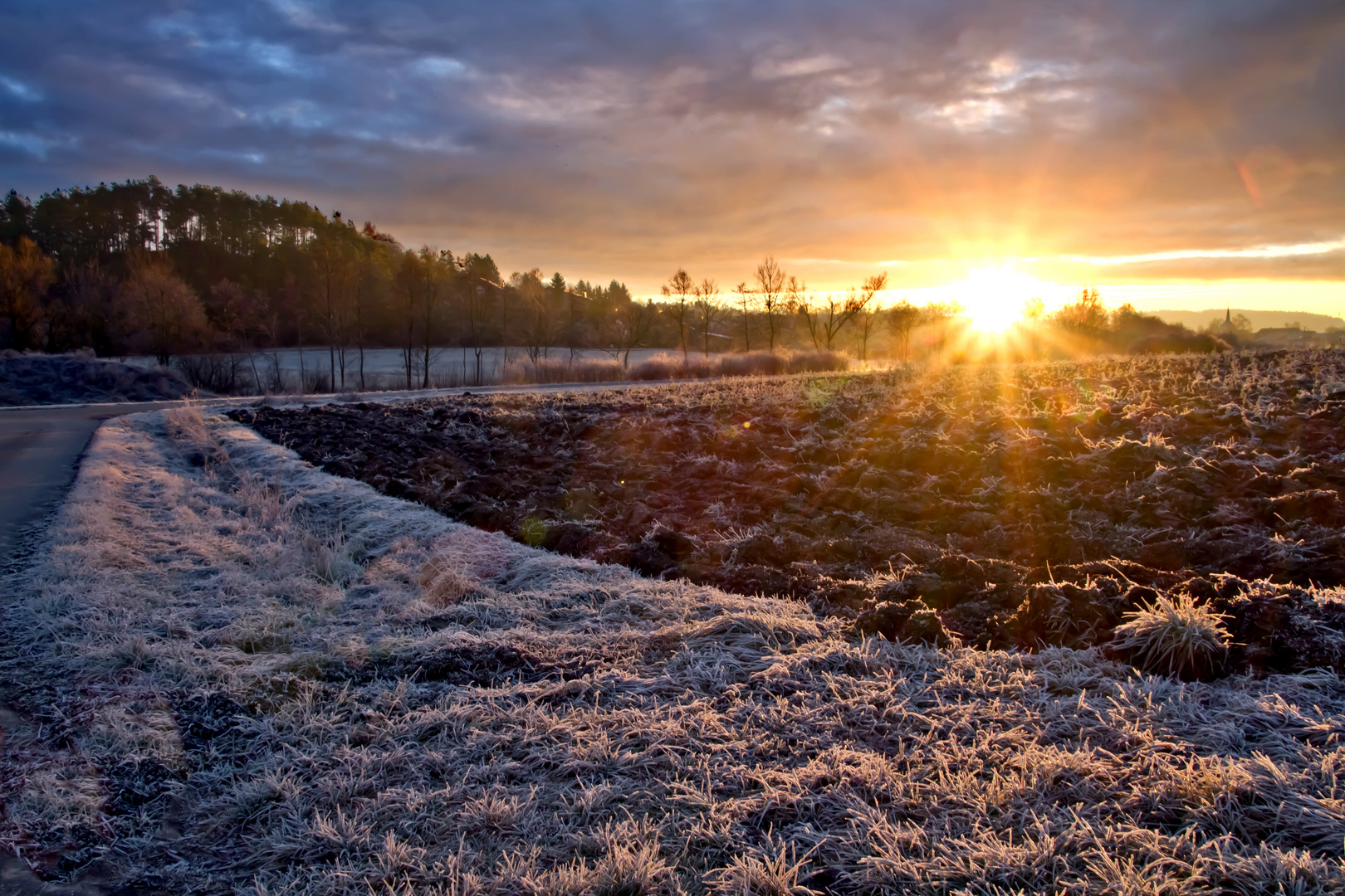 Golden Sun at the Morning