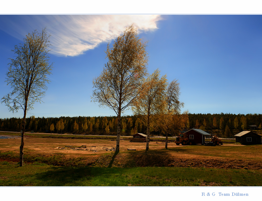 Golden Sunrise in  Jävre II