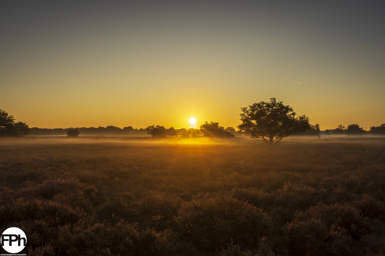  Golden Sunrise over Moorland