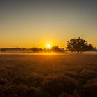  Golden Sunrise over Moorland