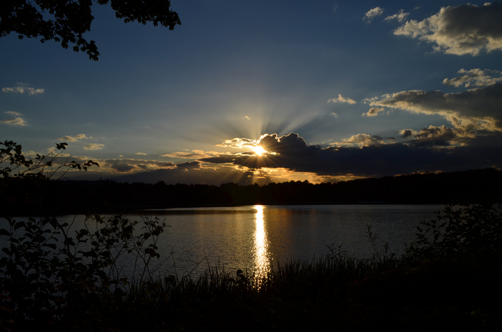 Golden Sunset