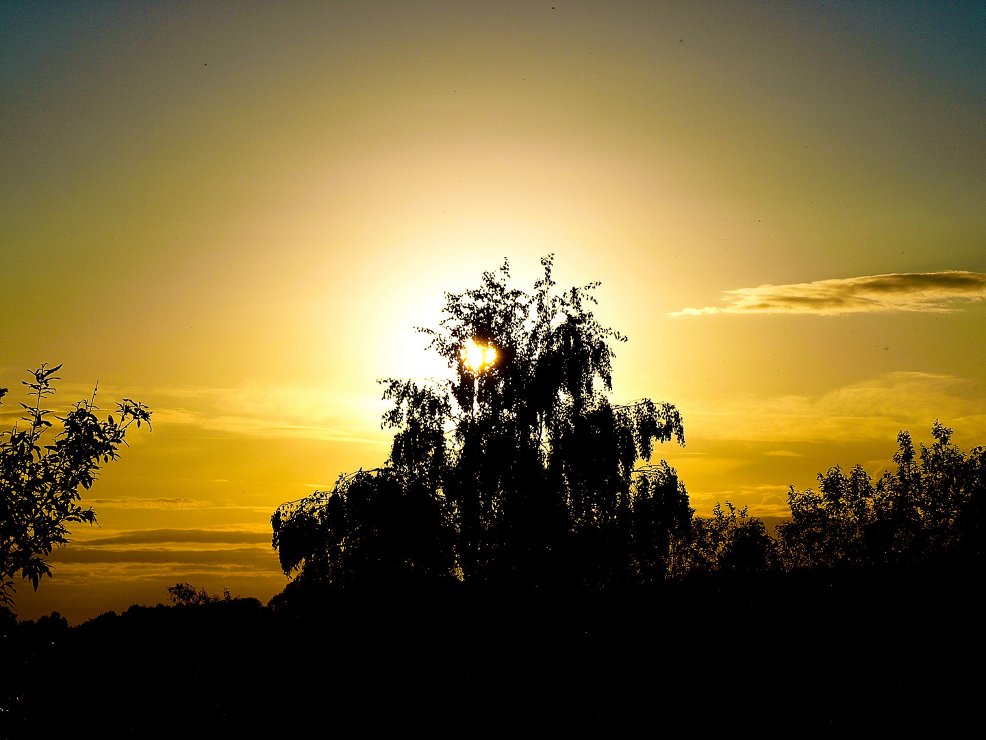 Golden Sunset