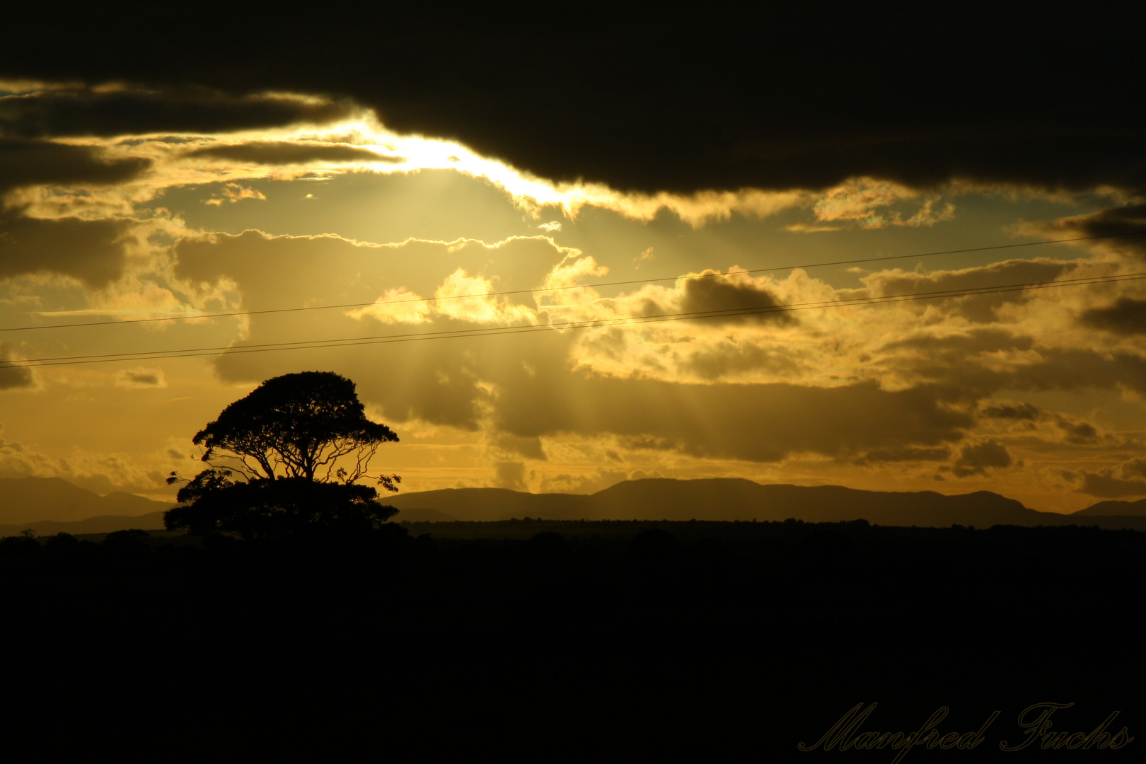 Golden Sunset