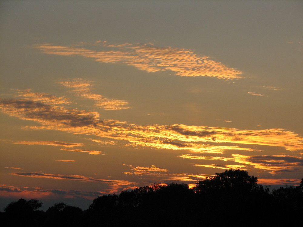 Golden Sunset