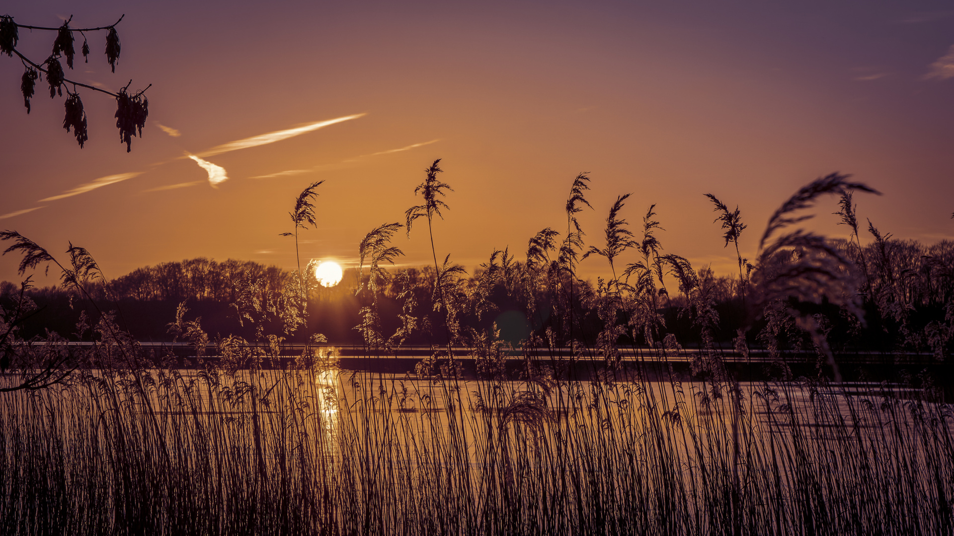 Golden Sunset