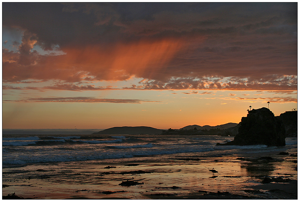 Golden Sunset at Pismo Beach