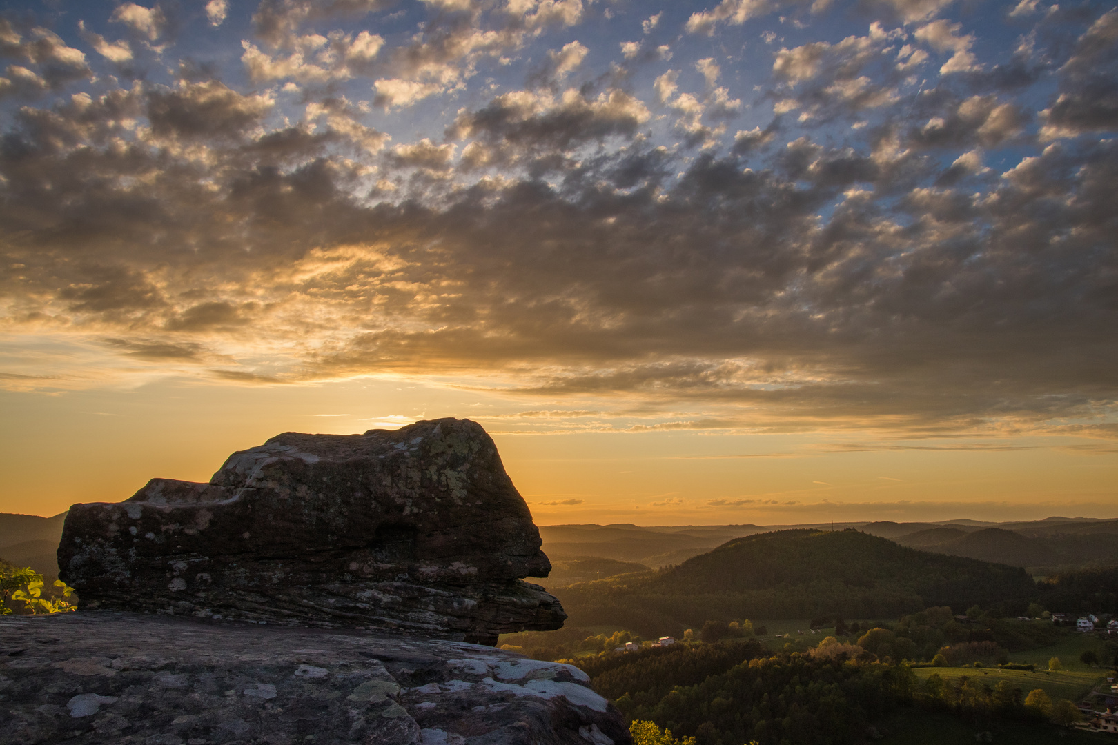 Golden Sunset