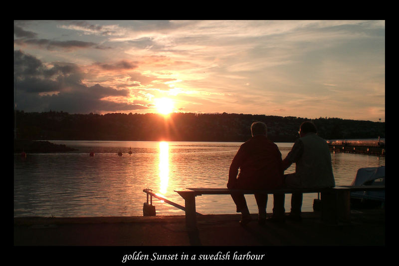 golden sunset in a swedish harbour