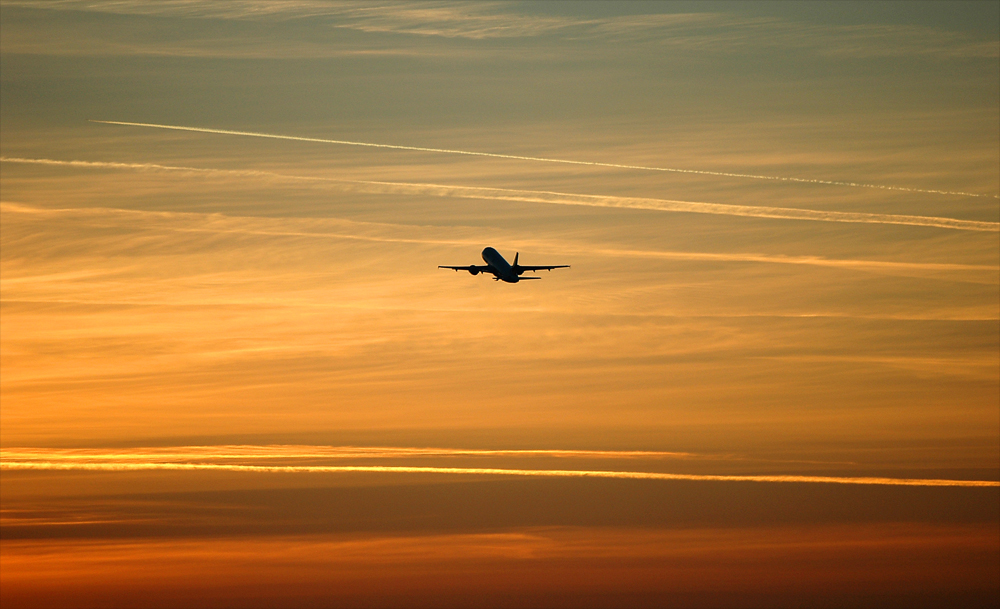 Golden Takeoff