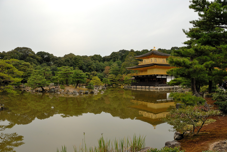 Golden Temple - Kinkakuji