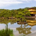 Golden Temple (Kyoto, Japan)