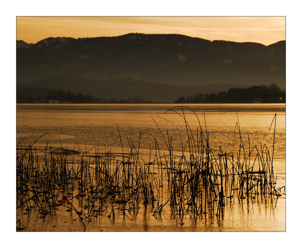 Golden Times - Goldene Zeiten