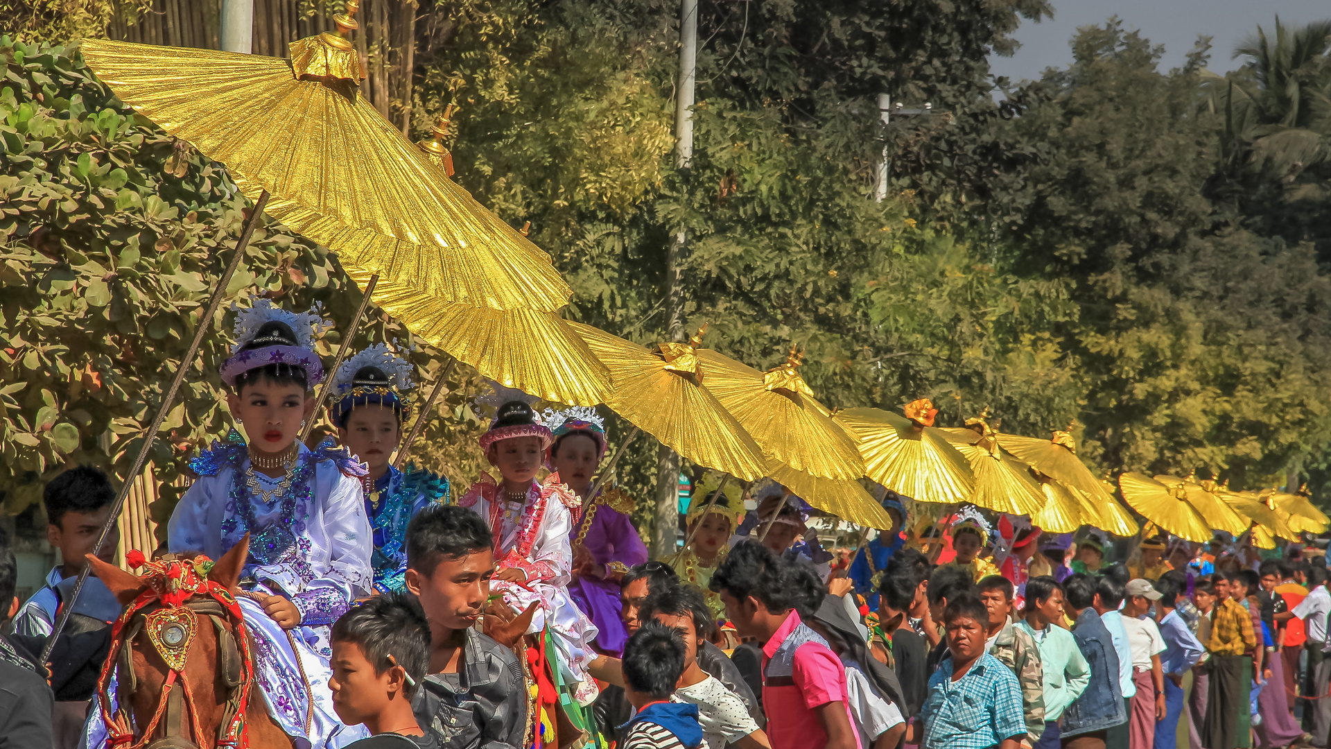 Golden Umbrellas