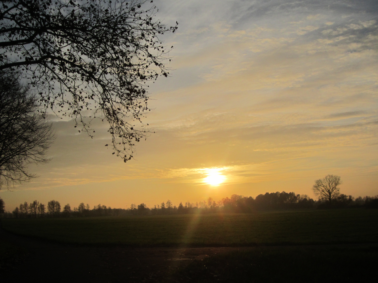 Golden verabschiedet sich der Herbst