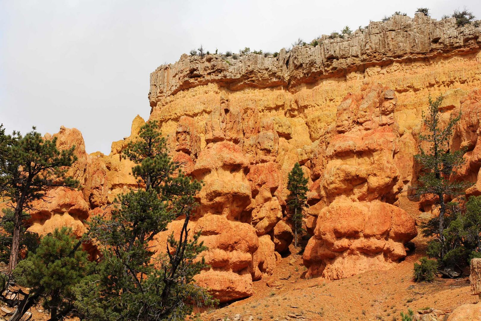 Golden Wall Trail....