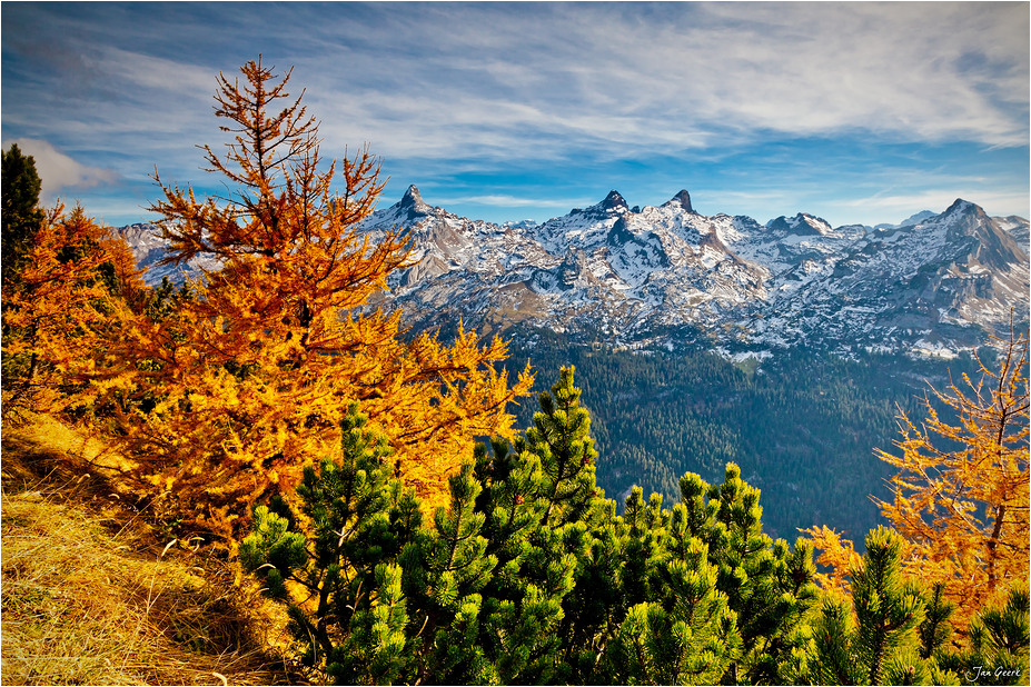 Golden war der Herbst