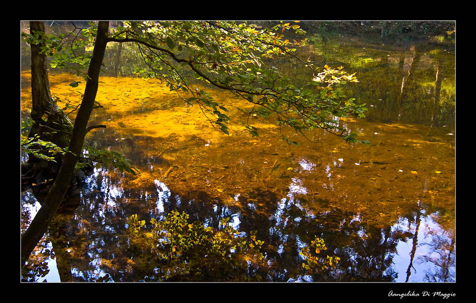 Golden Water