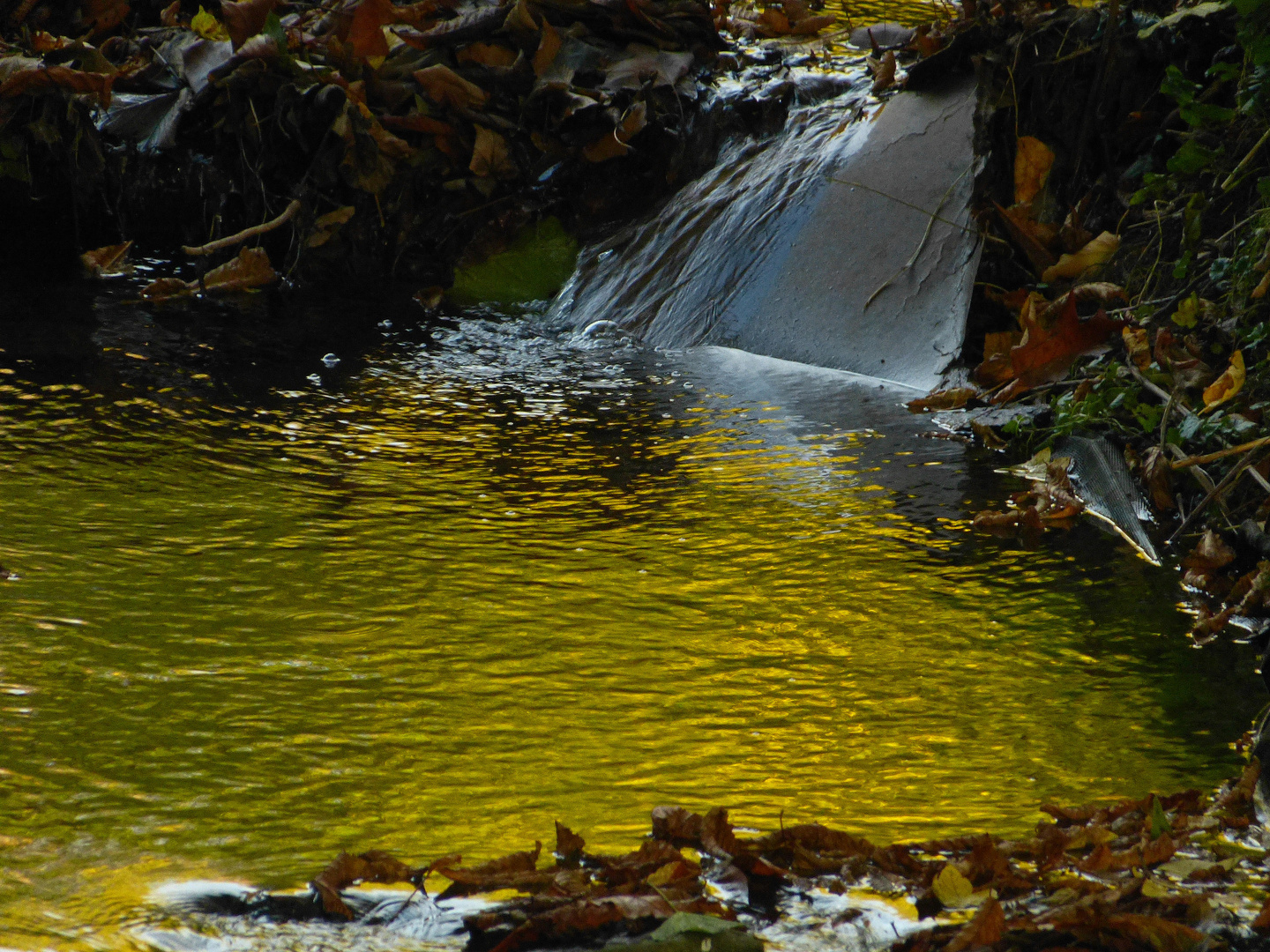 golden water