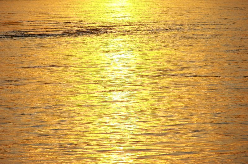 Golden Water