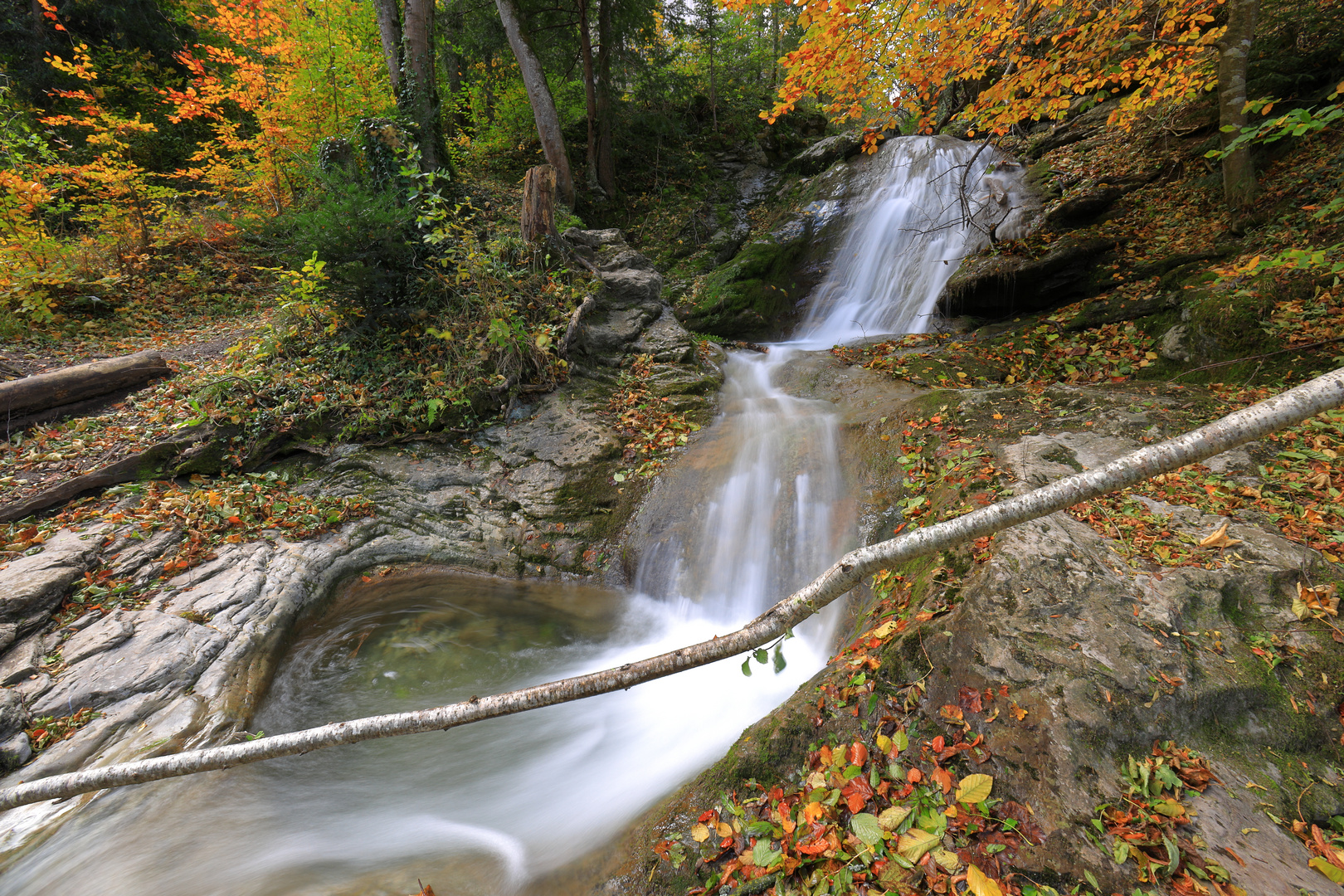 Golden Waterfall