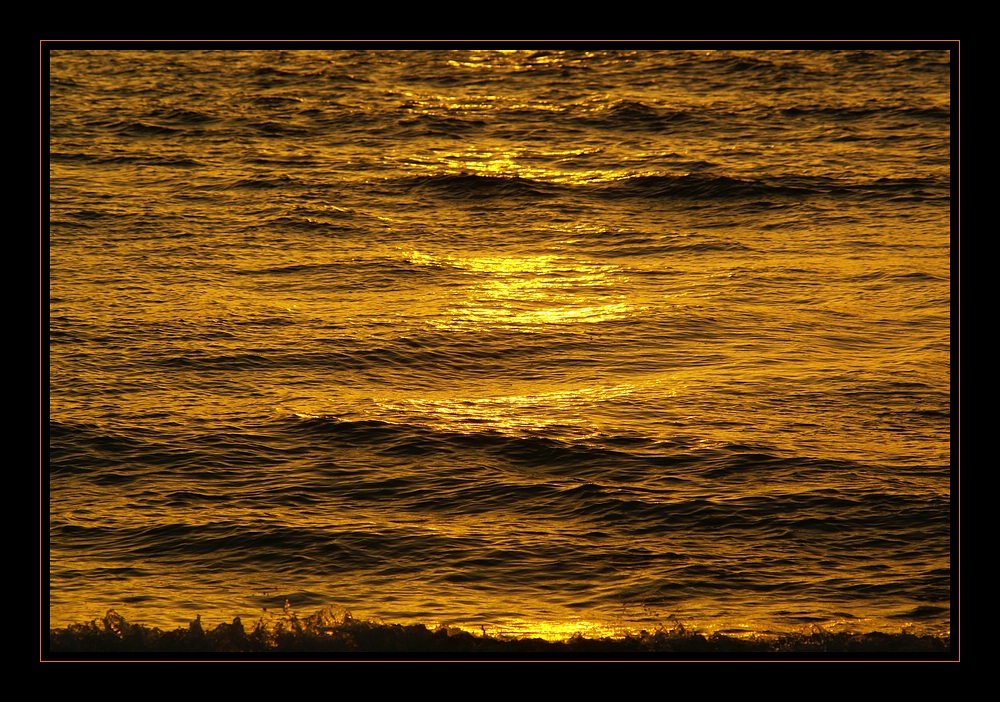 golden wave [1]