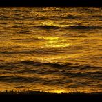 golden wave [1]