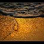 golden wave [2]