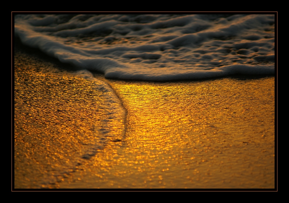 golden wave [2]