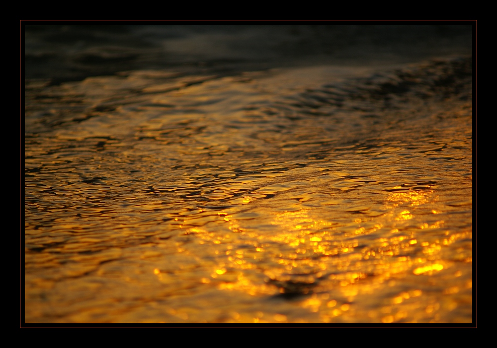 golden wave [3]