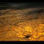 golden wave [3]