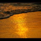 golden wave [5]