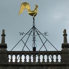 Golden Weathercock