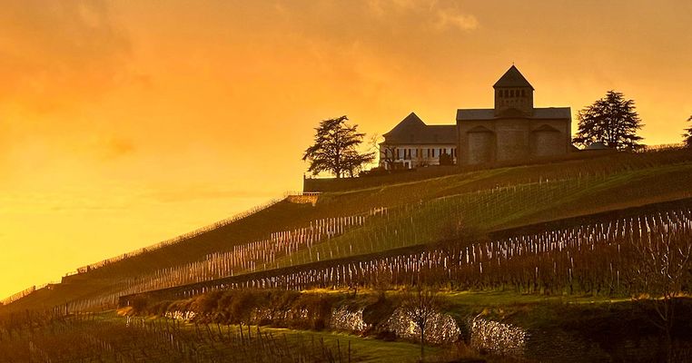 Golden wie der Riesling