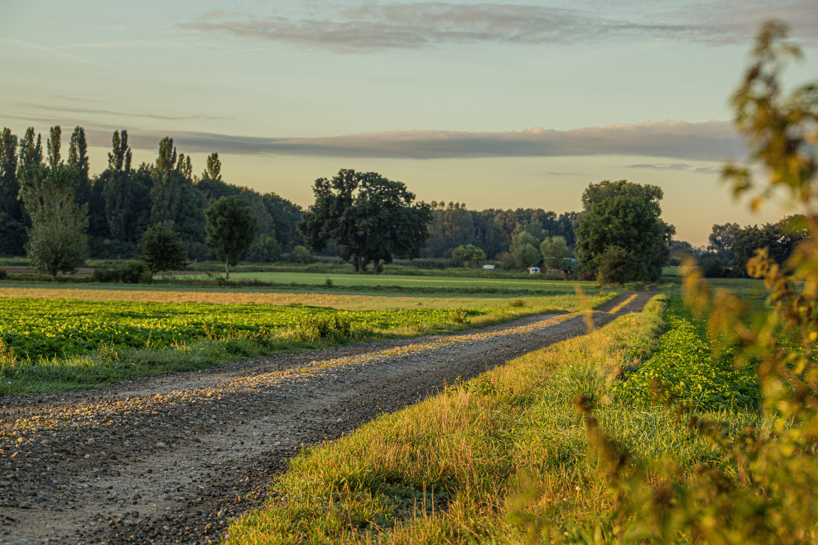 goldende Stunde