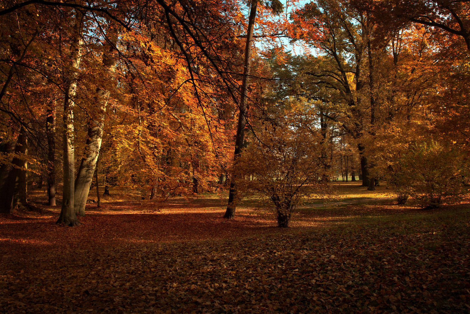 goldender Herbst