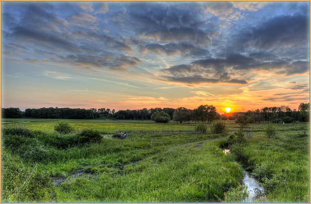 Goldene Abendsonne 4