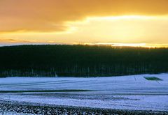 goldene Abendsonne