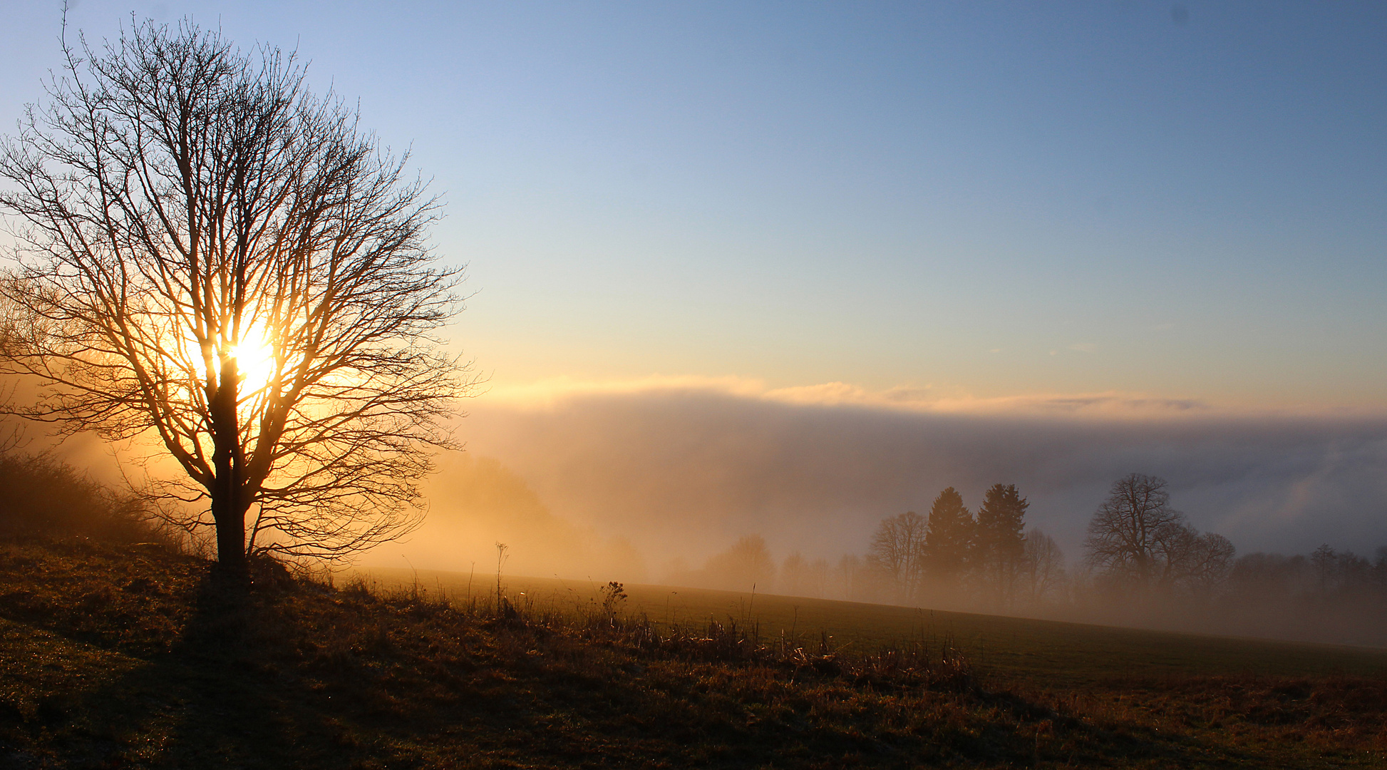 goldene Abendsonne