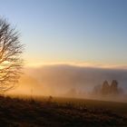 goldene Abendsonne