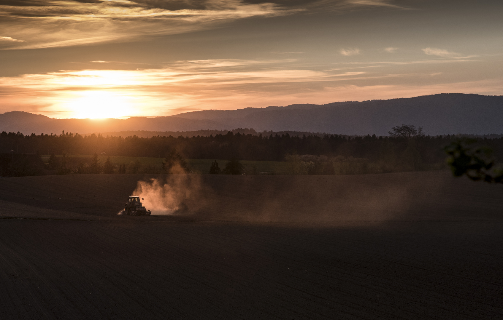 goldene Abendsonne