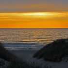 Goldene Abendstimmung an der dänischen Nordseeküste (Midtjylland, Vejlby Klit)