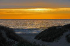 Goldene Abendstimmung an der dänischen Nordseeküste (Midtjylland, Vejlby Klit)