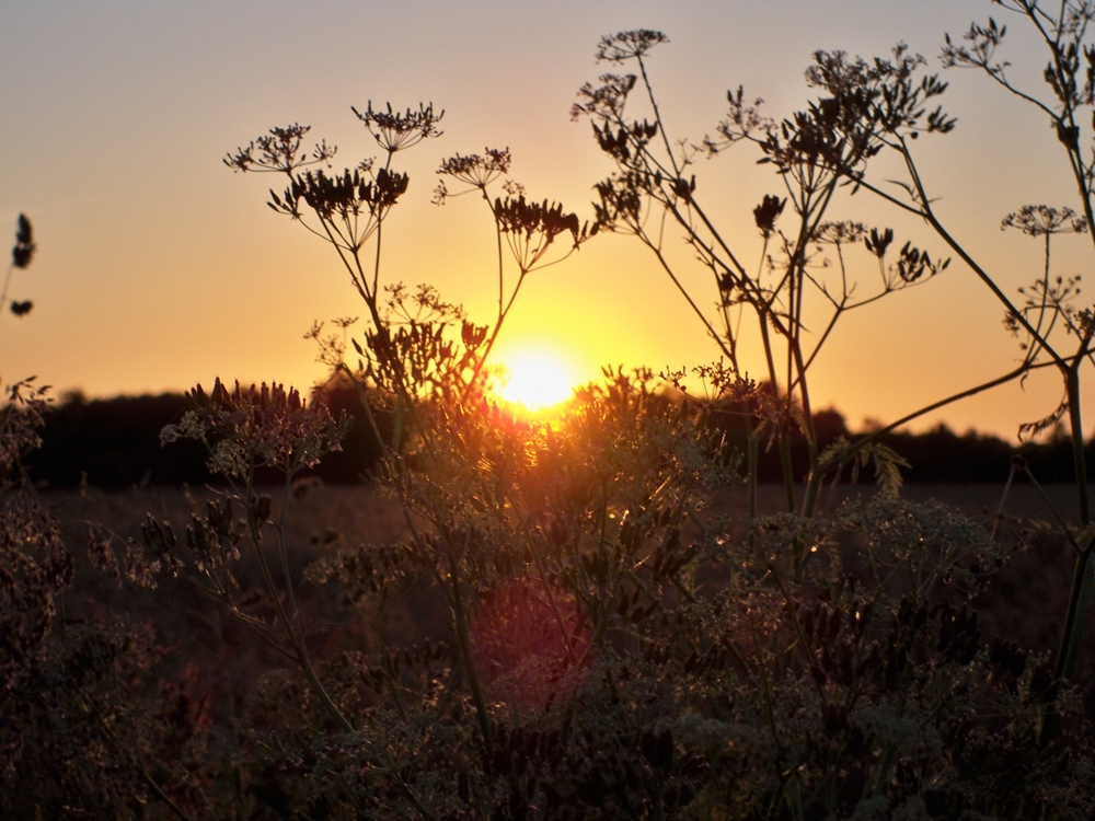 Goldene Abendstunde