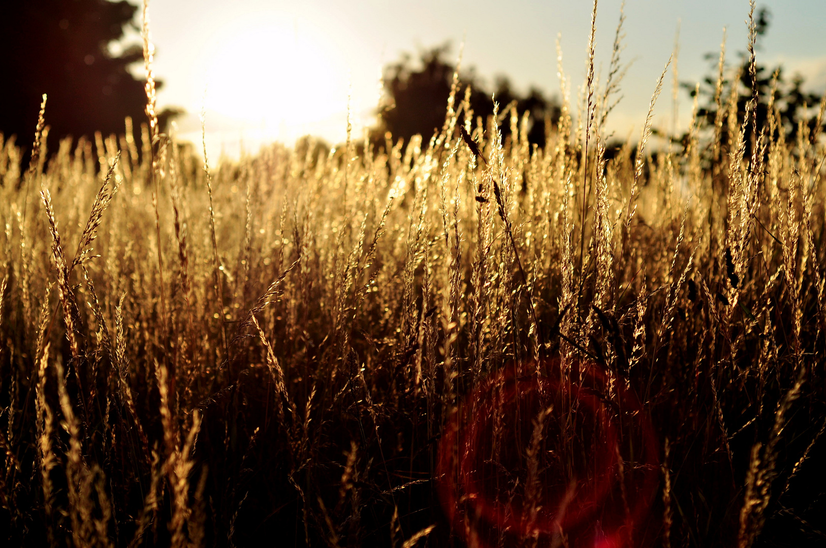 Goldene Ären