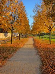 Goldene Allee